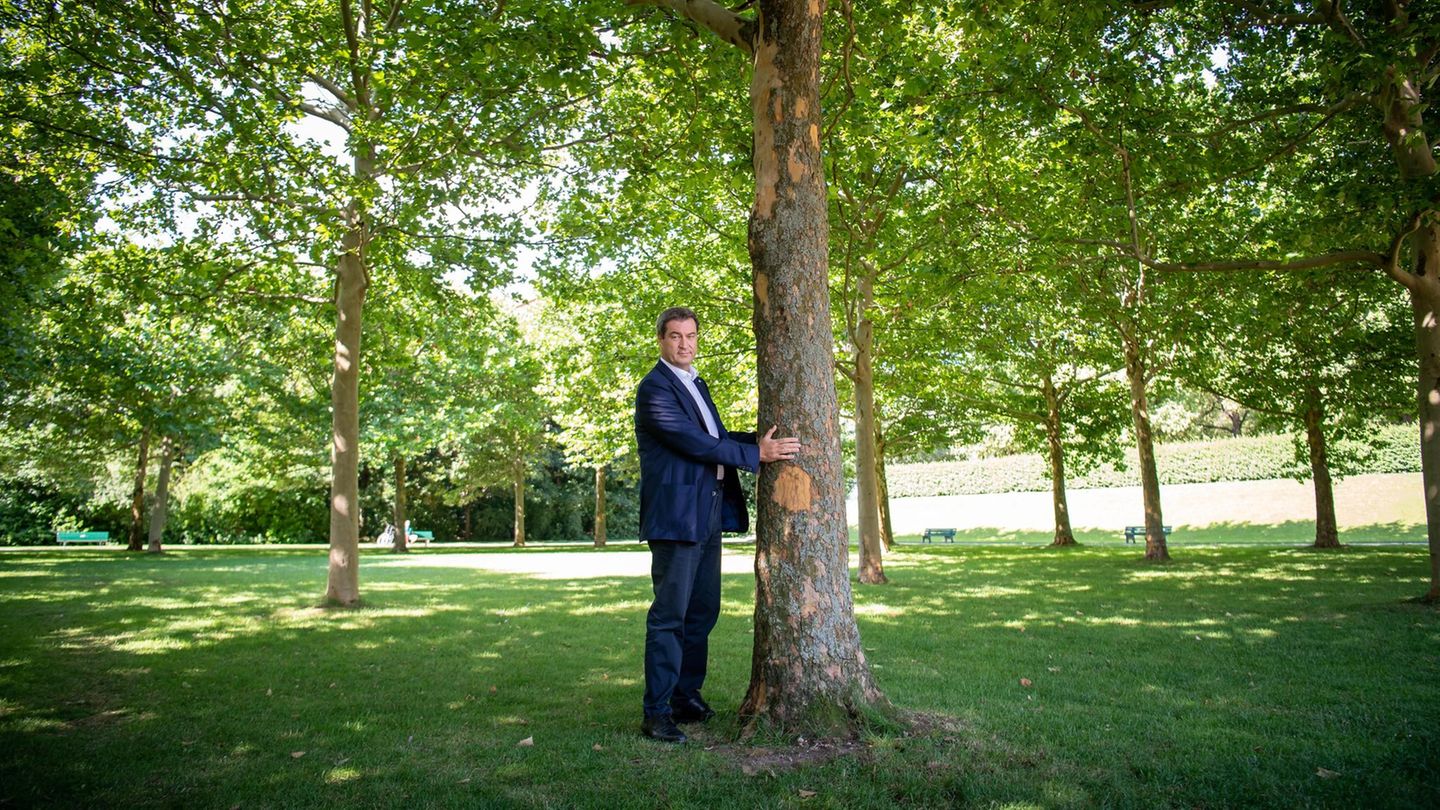 Markus Söder steht neben einem Baum