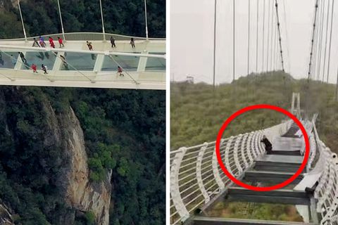 In 100 Meter Höhe: Tourist hängt von Geländer einer zerstörten Glasbodenbrücke