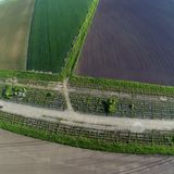 Rollbahn des Flugplatzes Strasshof