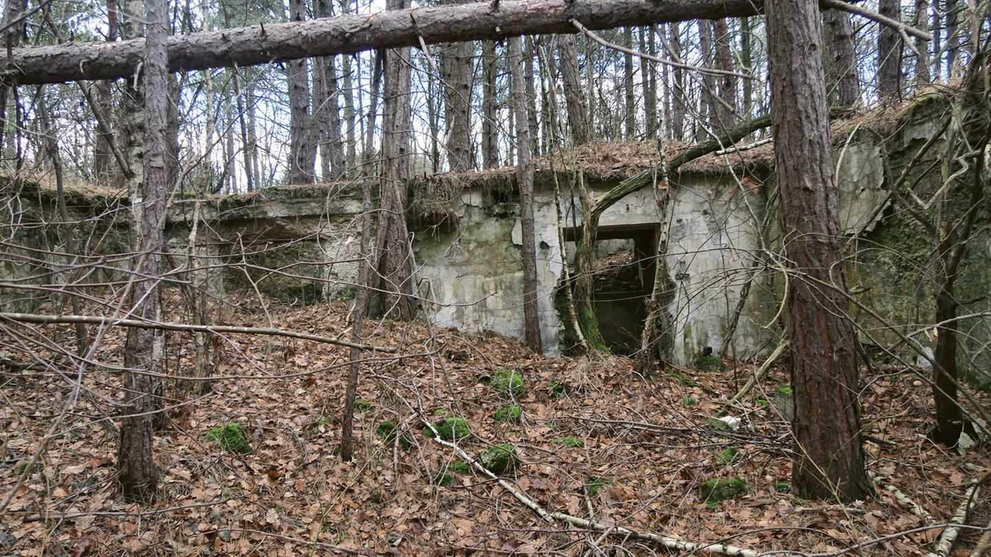 Lost Places in Österreich: Die versunkene Stadt am Lindenberg Der Schein trügt: Die Waldlandschaft im Süden Wiens wirkt idyllisch, wäre da nicht die unter viel Laub begrabenen Betonreste. Es sind die Ruinen einer unterirdischen Munitionsfabrik aus dem Zweiten Weltkrieg, als Zwangsarbeiterinnen aus dem KZ Mauthausen in der hier ansässigen Wilhelm- Gustloff-Werke schufften mussten. Die versunkene Stadt am Lindenberg Der Schein trügt: Die Waldlandschaft im Süden Wiens wirkt idyllisch, wäre da nicht die unter viel Laub begrabenen Betonreste. Es sind die Ruinen einer unterirdischen Munitionsfabrik aus dem Zweiten Weltkrieg, als Zwangsarbeiterinnen aus dem KZ Mauthausen in der hier ansässigen Wilhelm- Gustloff-Werke schufften mussten.