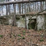 Die versunkene Stadt am Lindenberg  Der Schein trügt: Die Waldlandschaft im Süden Wiens wirkt idyllisch, wäre da nicht die unter viel Laub begrabenen Betonreste. Es sind die Ruinen einer unterirdischen Munitionsfabrik aus dem Zweiten Weltkrieg, als Zwangsarbeiterinnen aus dem KZ Mauthausen in der hier ansässigen Wilhelm- Gustloff-Werke schufften mussten.