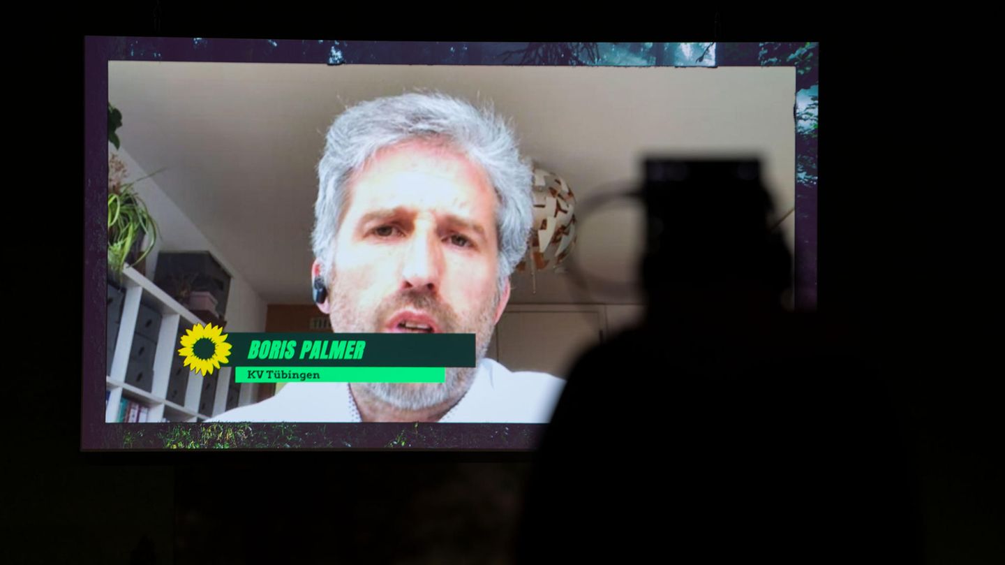 Ein Screenshot aus Boris Palmers Rede