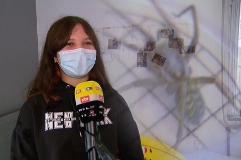 Celine Klier hat panische Angst vor Spinnen.
