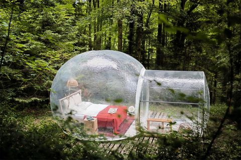 Zürich: Naturzimmer  Mitten im stadtnahen Wald steht dieses aufblasbares Bubblezimmer mit Doppelbett, Toilette, Trinkwasser, Kaffeemaschine und Feuerstelle mit Grillrost.