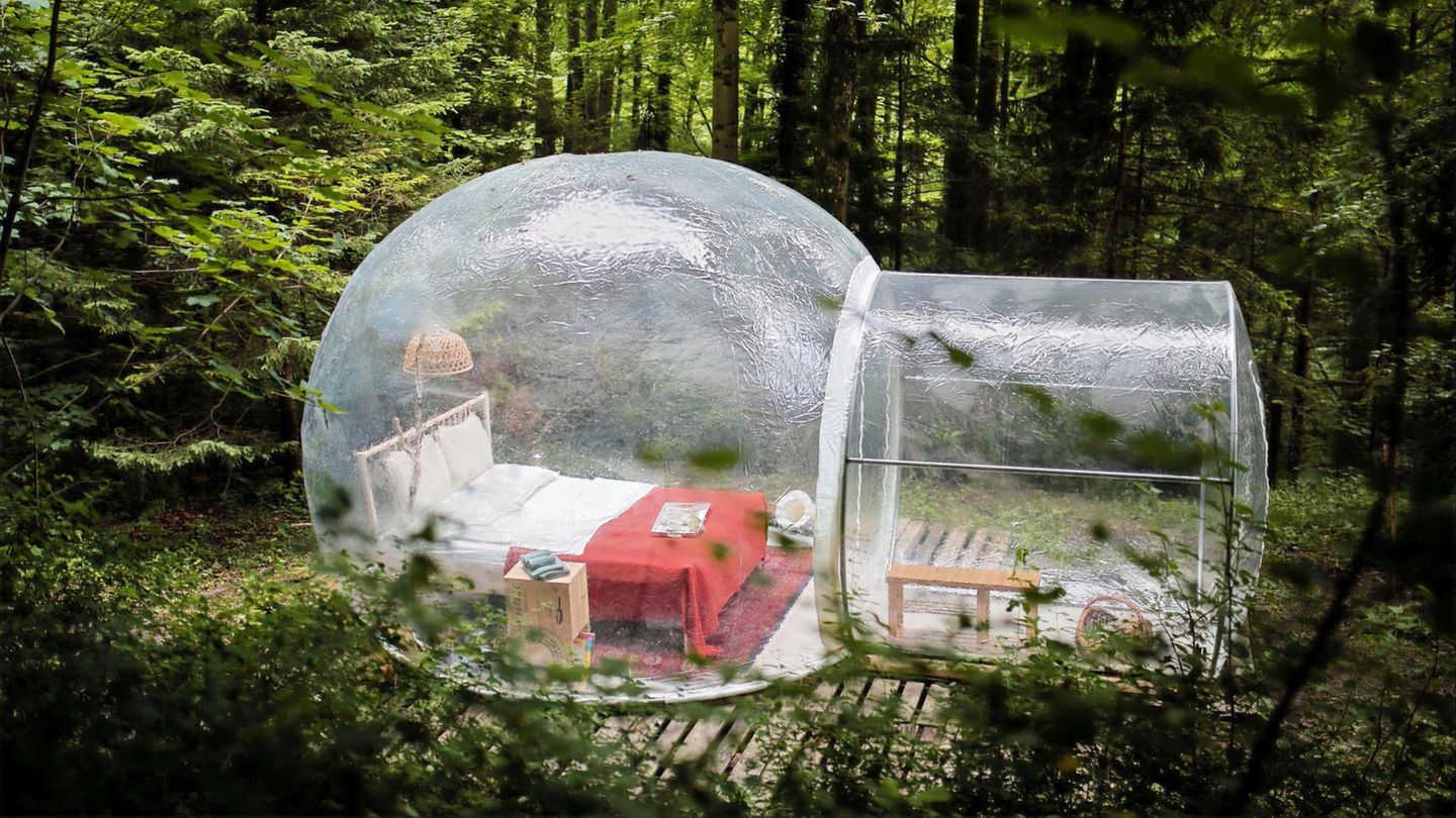 Zürich: Naturzimmer  Mitten im stadtnahen Wald steht dieses aufblasbares Bubblezimmer mit Doppelbett, Toilette, Trinkwasser, Kaffeemaschine und Feuerstelle mit Grillrost.