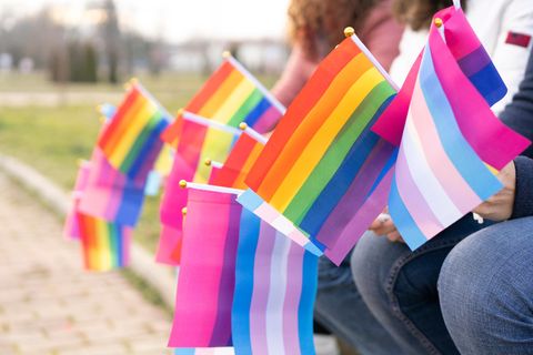 Kleine Pride-Flaggen werden in der Hand gehalten. Zu sehen sind die Regenbogenflagge, die Trans- und die Bisexuellen-Flagge.