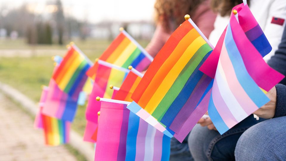 Kleine Pride-Flaggen werden in der Hand gehalten. Zu sehen sind die Regenbogenflagge, die Trans- und die Bisexuellen-Flagge.