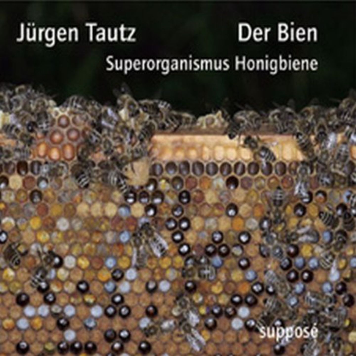 Jürgen Tautz: Der Bien. Superorganismus Honigbiene Jürgen Tautz: Der Bien. Superorganismus Honigbiene