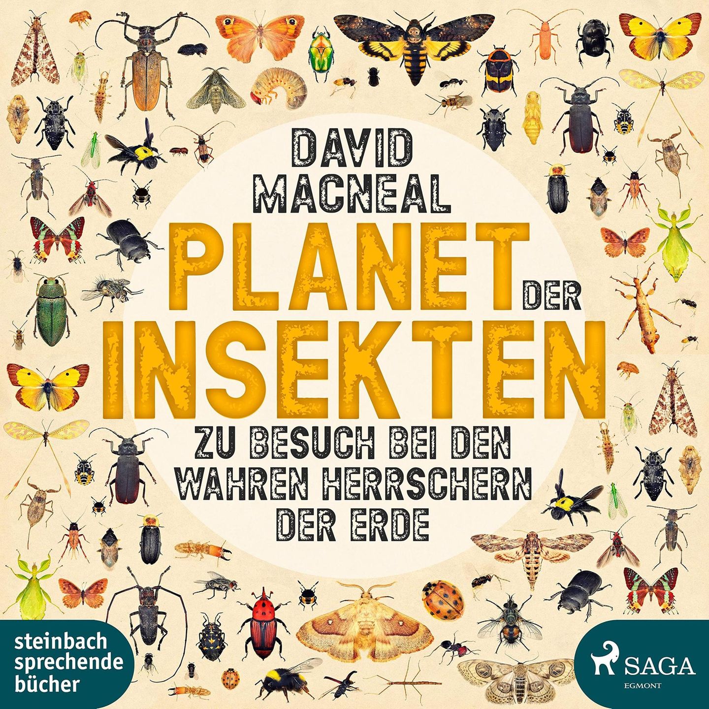 David MacNeal : Planet der Insekten. Zu Besuch bei den wahren Herrschern der Erde