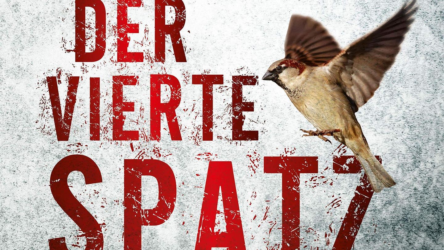 Hörbuchcover Jan Zweyer: Der vierte Spatz