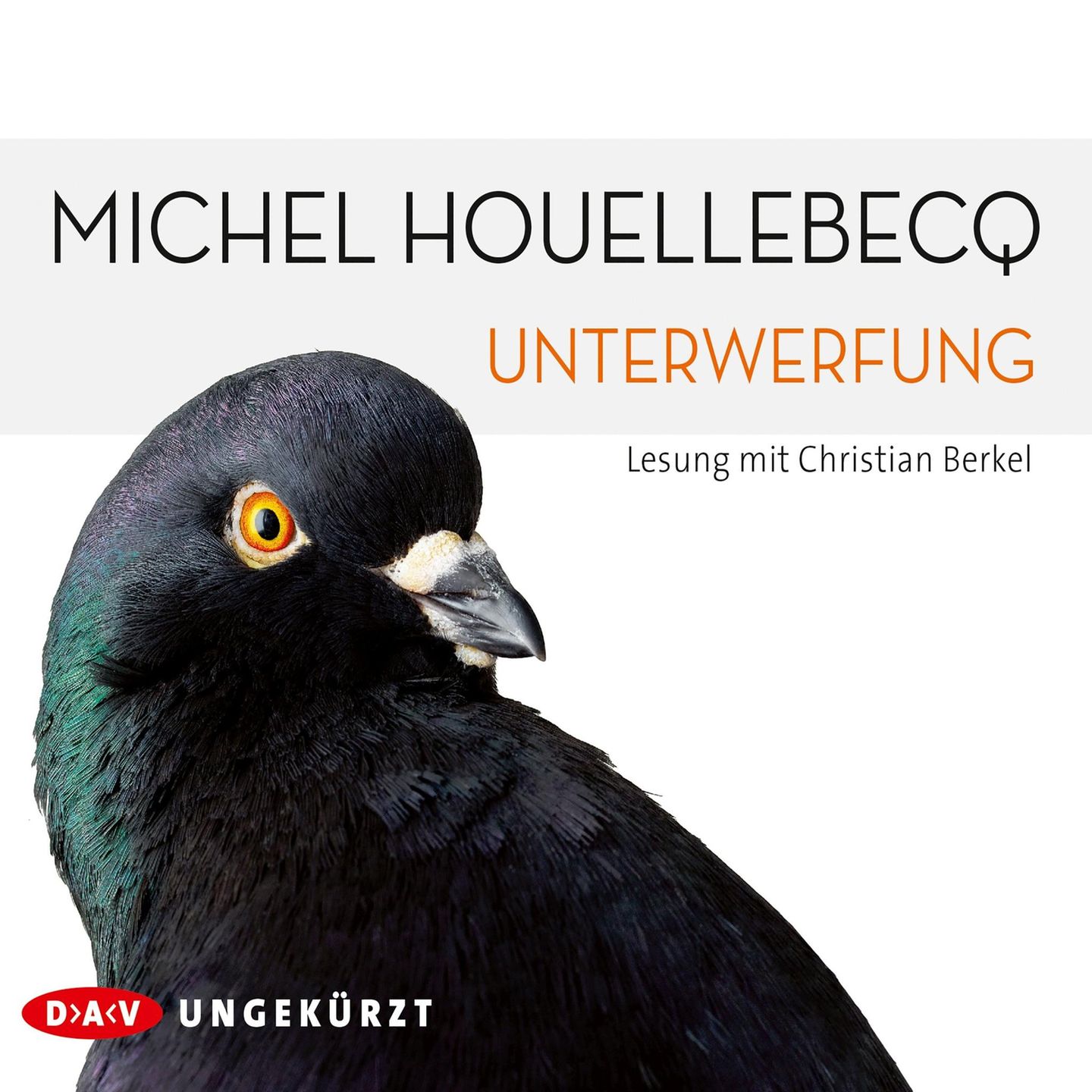 Michel Houellebecq Unterwerfung