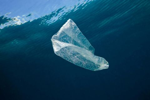 Eine Plastiktüte schwimmt im Meer
