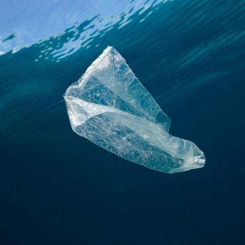 Eine Plastiktüte schwimmt im Meer