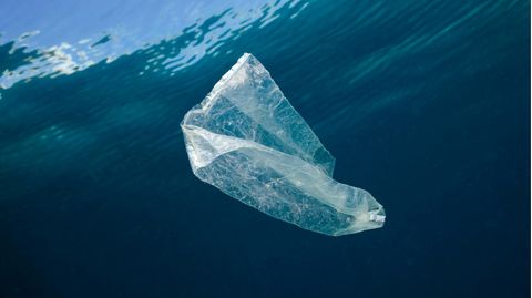 Eine Plastiktüte schwimmt im Meer