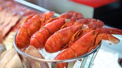 Hummer-Probleme  Ein vor Corona erstaunlich oft erwähntes Thema ist die An- oder Abwesenheit des beliebten Krustentiers auf dem Hotel-Speiseplan. "Komplett im Angebot fehlen: Krabben, Garnelen, Hummer und andere Meeresfrüchte", schreibt Urlauberin Diana. Ist der Hummer doch verfügbar, ist er entweder zu kostspielig - "Hummer sehr teuer", so Urlauber Rainer, oder falsch zubereitet. "Allerdings war unser Hummer zäh und zu wenig gegart, ebenso die Garnelen" so Urlauberin Brigitta. Aktuell wären die meisten Reisenden wohl vermutlich schon zufrieden, wenn sie unter südlicher Sonne einen Teller Nudeln mit Olivenöl und den Hauswein genießen könnten.