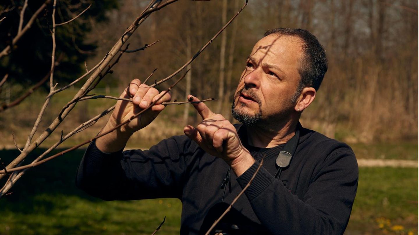 Naturfilmer Jan Haft bei sich zu Hause am Chiemsee