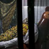 Der Hühnerfarmer Joseph starb mit 68. In einem bunt bemalten Sarg wird er zu seinem Grab in die Wildnis außerhalb von Accra getragen.