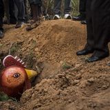 Der Hühner-Sarg wird zu Grabe gelassen.