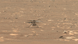 Gif - schnell gegenläufige Rotation der Rotorblätter von Ingenuity