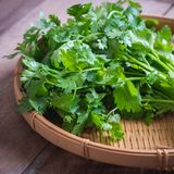 Koriander hat in manchen Teilen der Welt den gleichen Stellenrang wie Petersilie in Deutschland