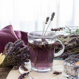 Lavendel gehört zur Familie der Lippenblütler