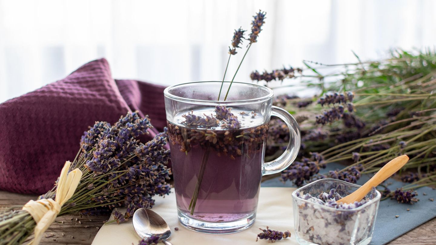 Lavendel Lavendel gehört zur Familie der Lippenblütler