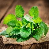 Früher wurde die Minze unter anderem gegen Gicht verordnet