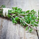 Thymian wächst besonders gut auf kalkhaltigen Böden