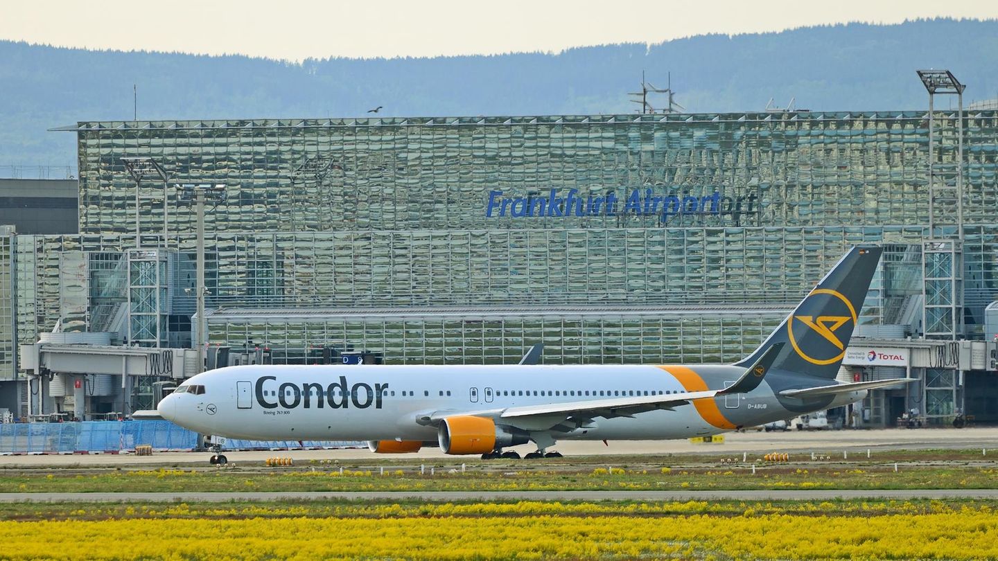 Mit diesem Erscheinungsbild fliegt die Condor heute zu ihren Zielen