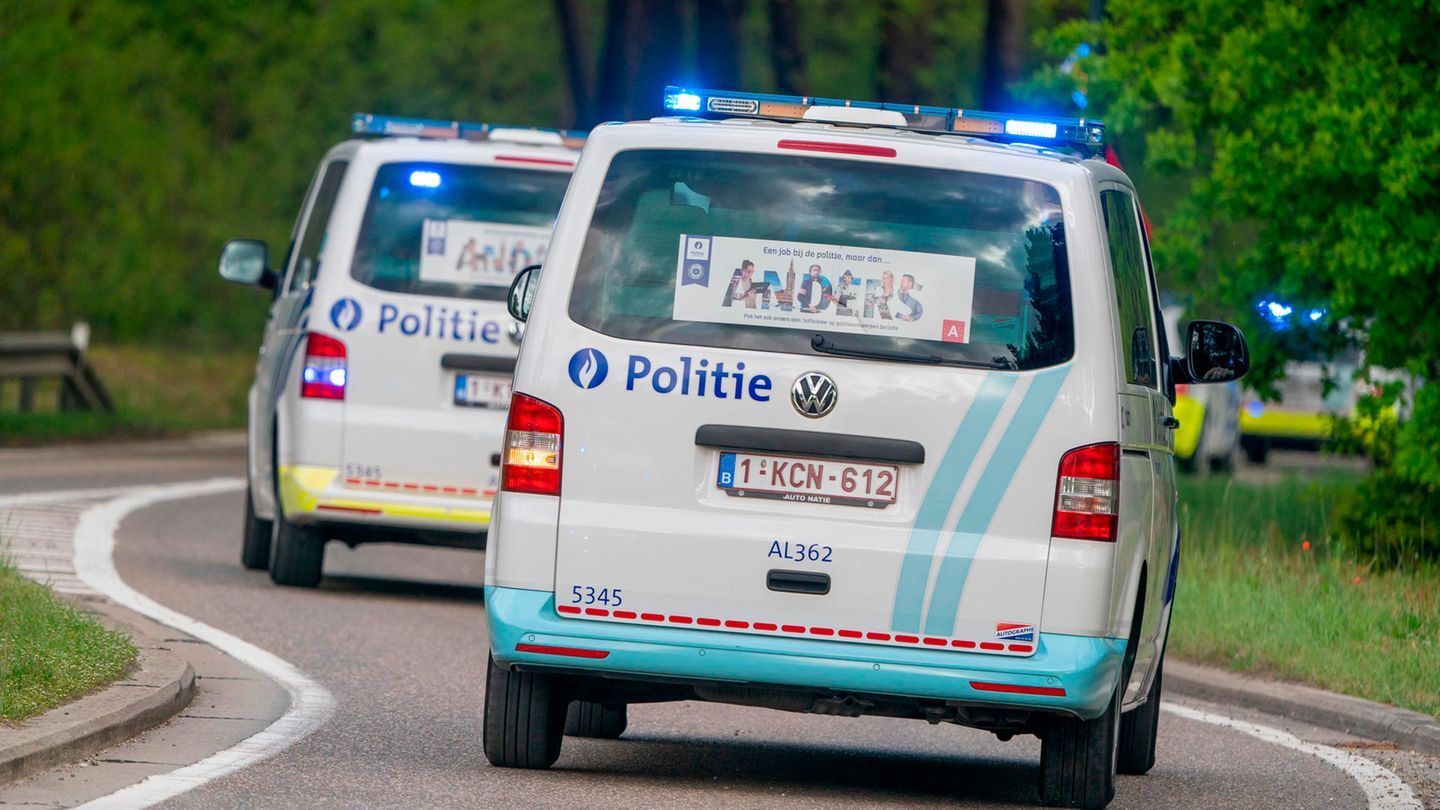 Zwei Polizeitransporter fahren durch ein Waldstück