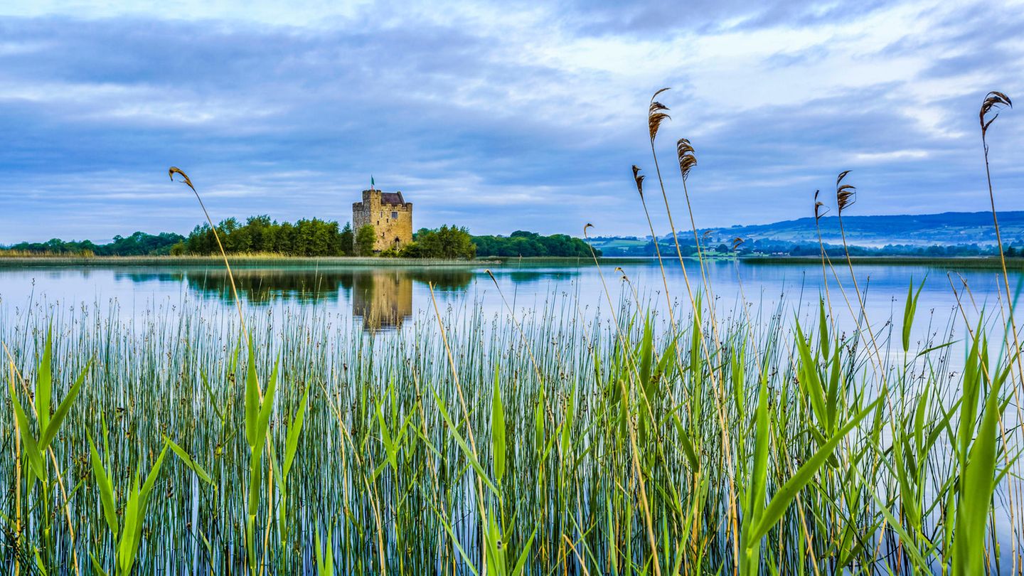 Was Urlauber jetzt wissen müssen: Irland In Irland ist mittlerweile mehr als ein Drittel der Erwachsenen erstgeimpft. Nach monatelangem Lockdown sind in der vergangenen Woche außerdem erste Lockerungen in Kraft getreten, Friseure und Geschäfte dürfen Kunden nun wieder Termine anbieten. Auch Museen, Büchereien und andere kulturelle Einrichtungen haben wieder geöffnet - die Gastronomie darf jedoch weiterhin nur Essen zum Mitnehmen anbieten. Von nicht-notwendigen Reisen nach Irland rät die Regierung ab. Einreisende, die trotzdem kommen, müssen einen negativen PCR-Test vorweisen und sich in Quarantäne begeben. Allerdings gibt es in Irland bereits mehr Freiheiten für vollständig Geimpfte, etwa bei privaten Treffen oder den Quarantäne-Regeln. Irland In Irland ist mittlerweile mehr als ein Drittel der Erwachsenen erstgeimpft. Nach monatelangem Lockdown sind in der vergangenen Woche außerdem erste Lockerungen in Kraft getreten, Friseure und Geschäfte dürfen Kunden nun wieder Termine anbieten. Auch Museen, Büchereien und andere kulturelle Einrichtungen haben wieder geöffnet - die Gastronomie darf jedoch weiterhin nur Essen zum Mitnehmen anbieten. Von nicht-notwendigen Reisen nach Irland rät die Regierung ab. Einreisende, die trotzdem kommen, müssen einen negativen PCR-Test vorweisen und sich in Quarantäne begeben. Allerdings gibt es in Irland bereits mehr Freiheiten für vollständig Geimpfte, etwa bei privaten Treffen oder den Quarantäne-Regeln.