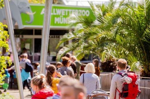 Schlangen vor dem Allwetterzoo in Münster im vergangenen Sommer. Der Zoo hofft, nach den Sommerferien auch Schul- und Kindergartengruppen wieder empfangen zu dürfen. 