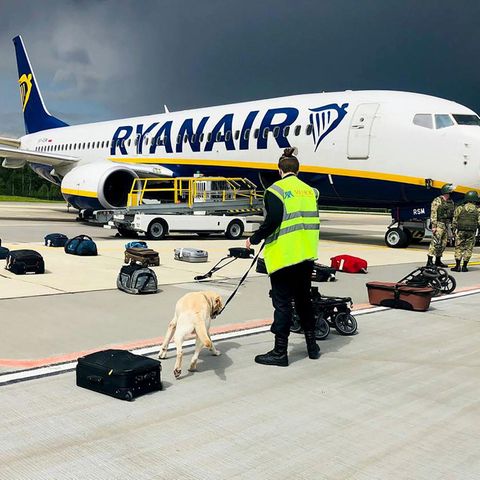 Die Ryanair-Maschine auf dem Flughafen der belarussischen Hauptstadt Minsk