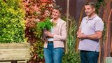 Der Pitch von Evertree rührte die Löwen