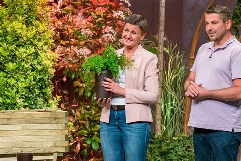 Der Pitch von Evertree rührte die Löwen