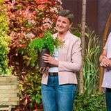 Der Pitch von Evertree rührte die Löwen