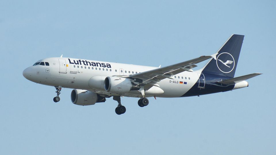 Airbus A319 der Lufthansa