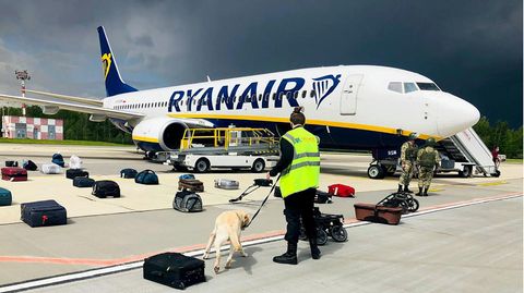 Minsk, Belarus: Ein Hundeführer kontrolliert nach der erzwungenen Landung das Gepäck der Ryanair Boeing 737-8AS