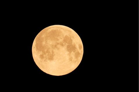 Der Vollmond wird an diesem Mittwoch um zehn Prozent größer erscheinen.