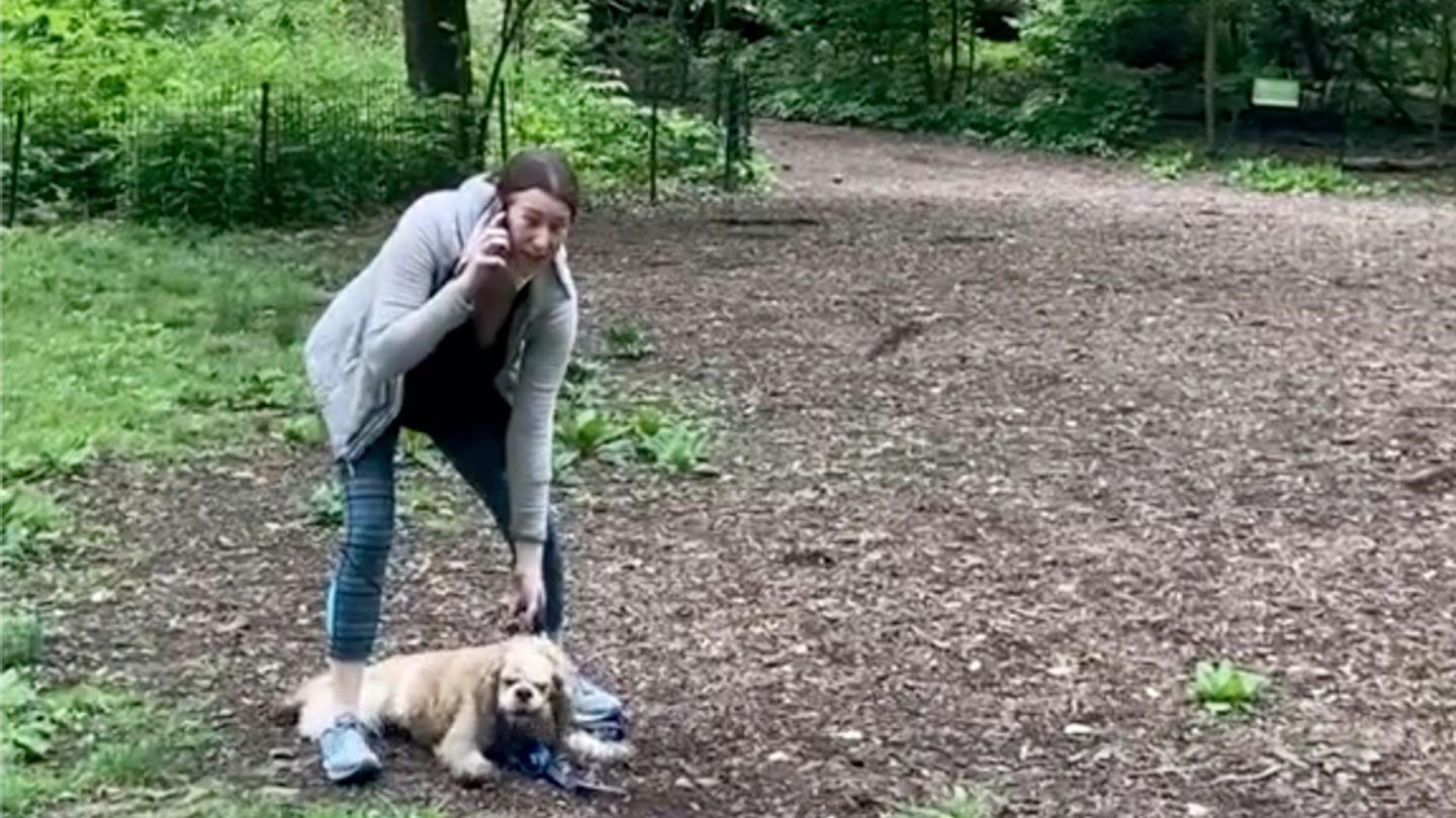 Eine junge Frau telefoniert im Central Park und hält einen sitzenden Hund am Halsband
