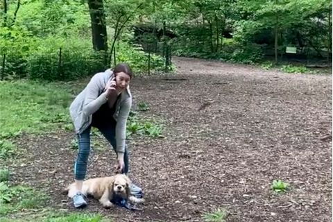 Eine junge Frau telefoniert im Central Park und hält einen sitzenden Hund am Halsband