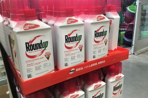 Behälter mit Roundup, ein glyphosathaltiges Unkrautvernichtungsmittel von Monsanto