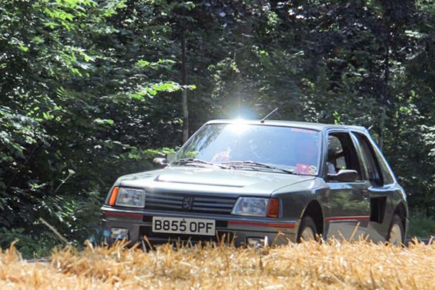Peugeot 205 turbo 16 (103)