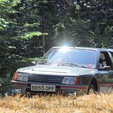 Peugeot 205 turbo 16 (103)