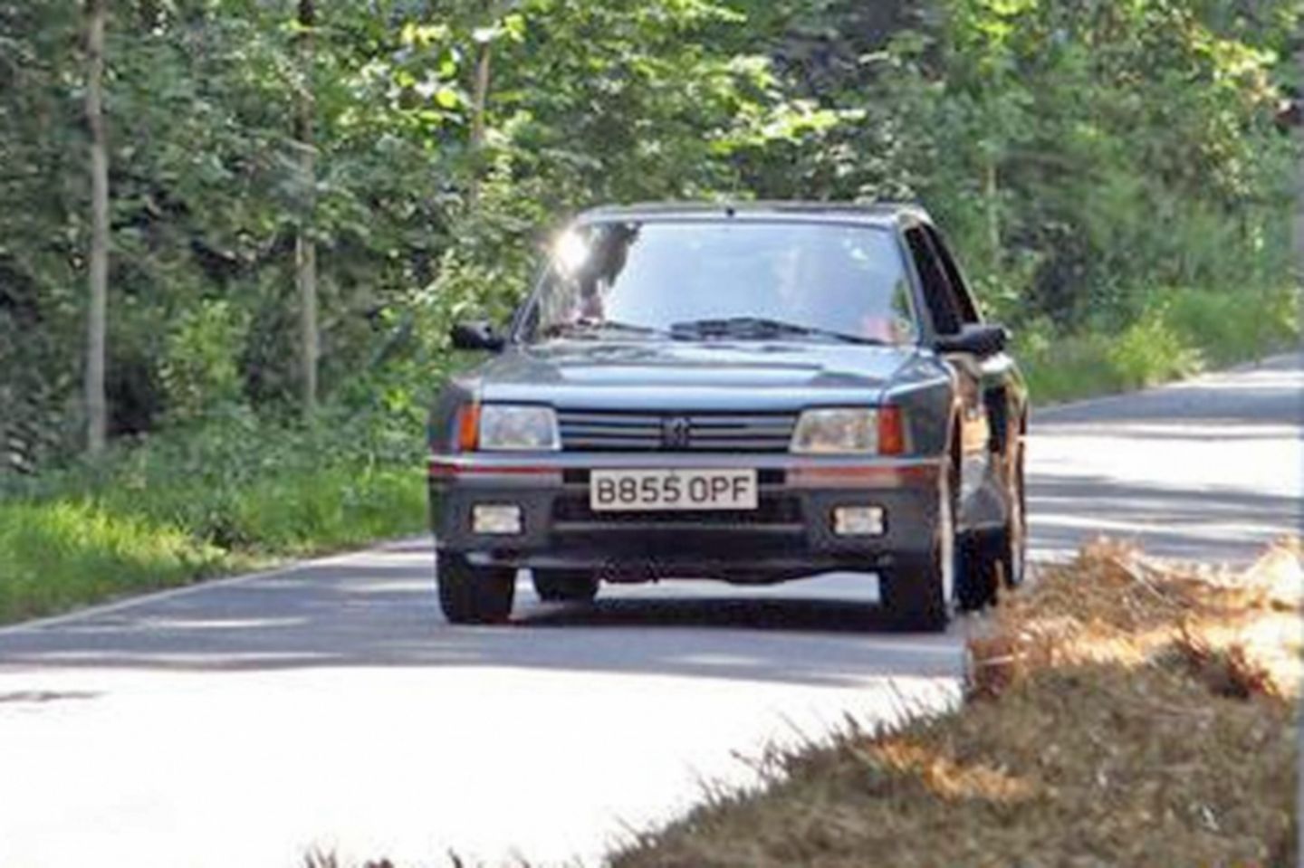 Peugeot 205 turbo 16 (109)