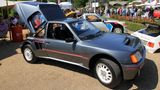 Peugeot 205 turbo 16 (118)