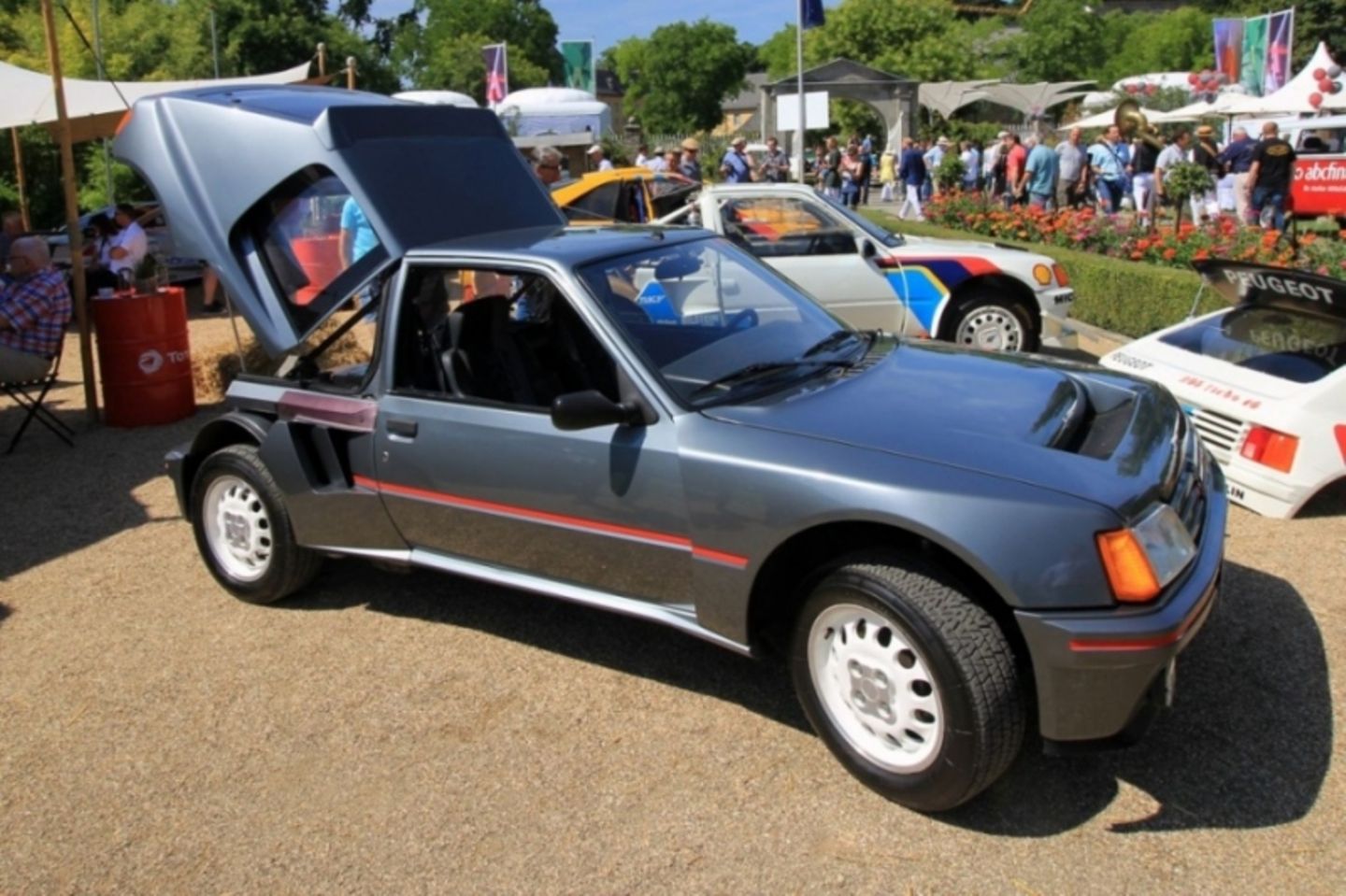Peugeot 205 turbo 16 (118)
