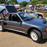 Peugeot 205 turbo 16 (118)
