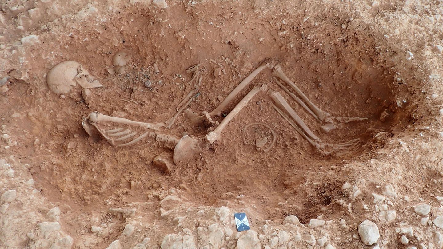 Ein menschliches Skelett wird ausgegraben
