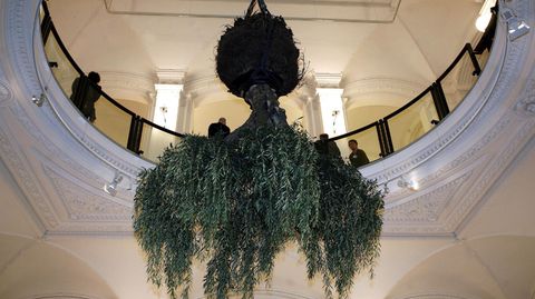 Ein Olivenbaum hängt kopfüber von der Decke im Martin-Gropius-Bau in Berlin. Die Skulptur entstand anlässlich der Dani-Karavan-Ausstellung 2008.